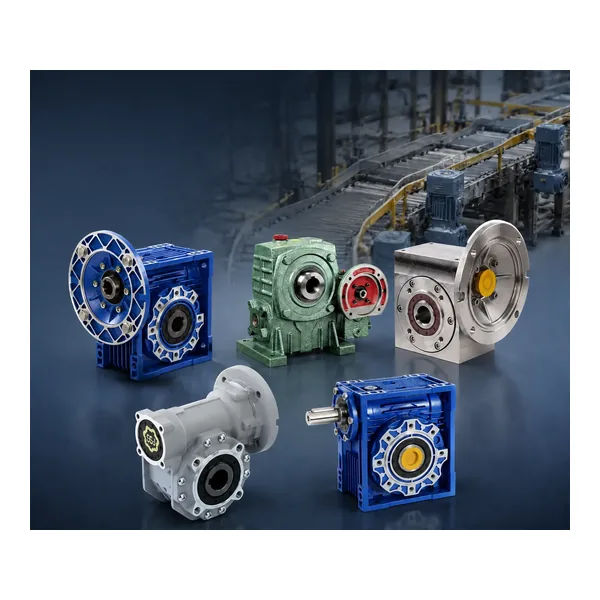 worm gear reducer