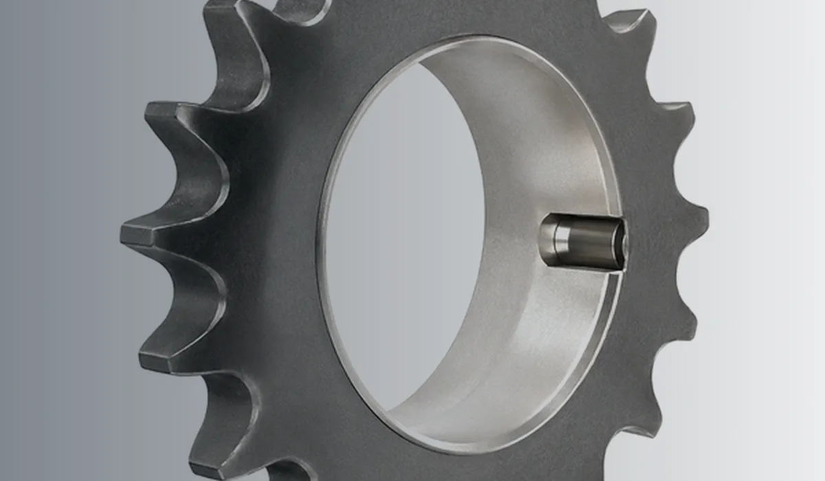 Chain and Sprocket Matching Checklist overview