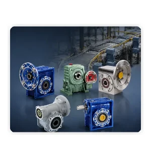 JDLB Precision Worm Gearbox